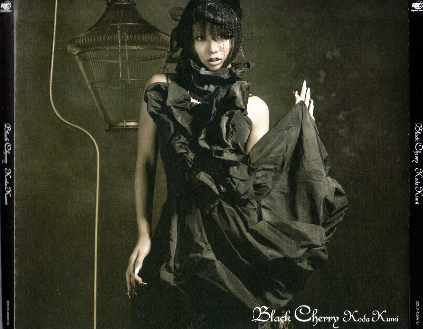 Black Cherry (CD+DVD)
